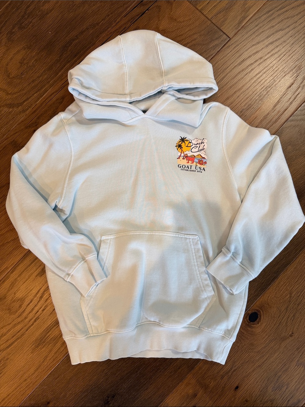 GOAT USA Light Blue Kids Hoodie with Beach Club Graphic